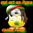 Qui est en ligne ?