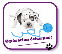 Opération écharpe