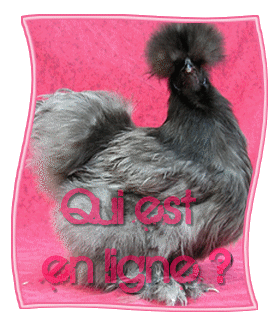 Qui est en ligne ?