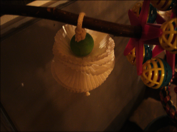 Image: dsc02765-7f52d9.jpg