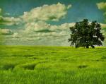 http://img45.xooimage.com/files/a/5/b/campo-1c5b5dc.jpg