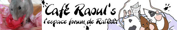 Caf&eacute; Raoul, l'espace forum de Ratl&agrave;l&agrave;