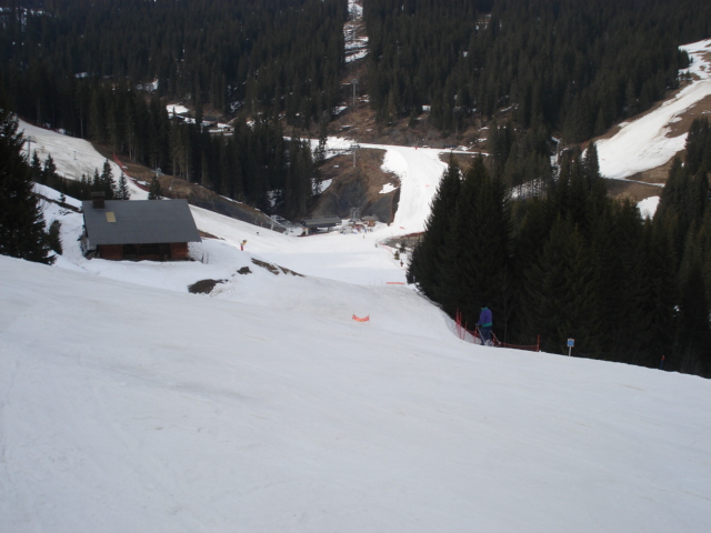 Chevreuil / Megève Jaillet Dsc03916-85651c