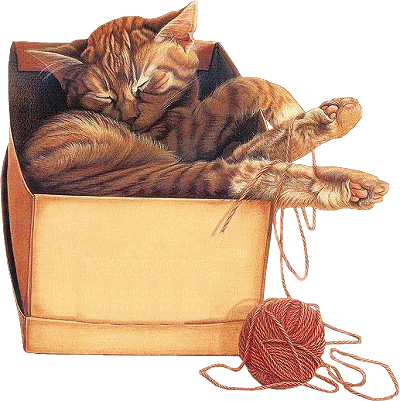 http://img45.xooimage.com/files/8/7/8/bonne-nuit-10--71072e.gif