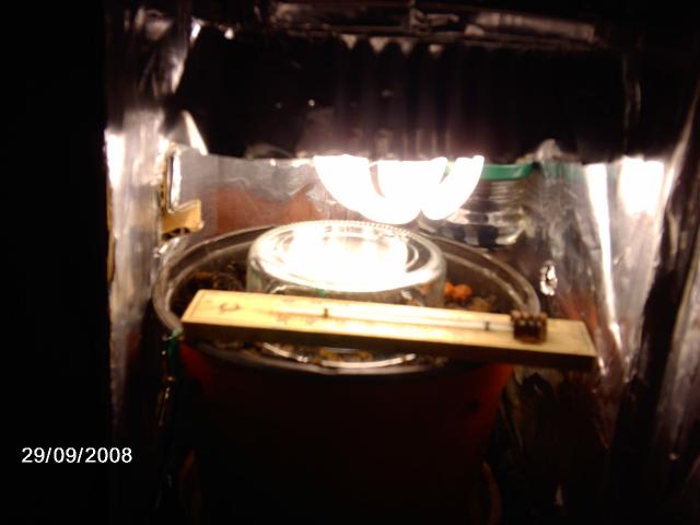 imag0740-6cbeab.jpg